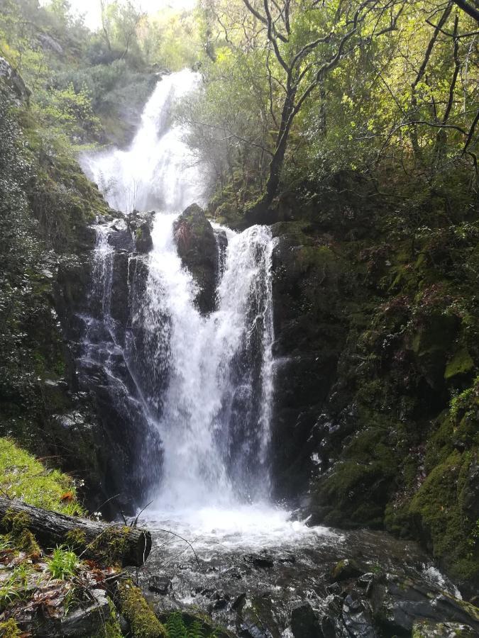 Casinha Do Talasnal Lousã المظهر الخارجي الصورة